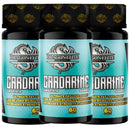 Kit 3 X Cardarine (60) - Dragon Elite | iPUMP Suplementos