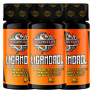 Kit 3 X Ligandrol (90) - Dragon Elite
