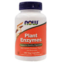 Plant Enzymes (120) Now Foods Frete grátis